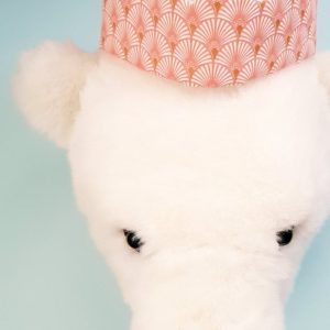 20201012_1024351-scaled.jpg Palmier rose