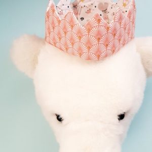 20201012_1025241-scaled.jpg Palmier rose et Souricette