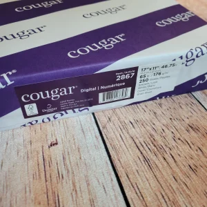 20240912_085938.jpgv1726147620 Papier cartonné 11X17 (250 feuilles)