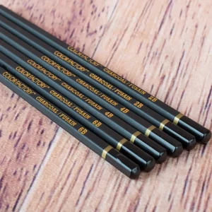 Fusain_2.jpgv1593777607 6 crayons au fusain